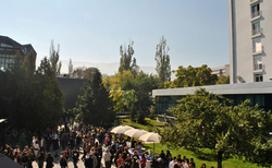 bp_250x154_crop_478b24840a