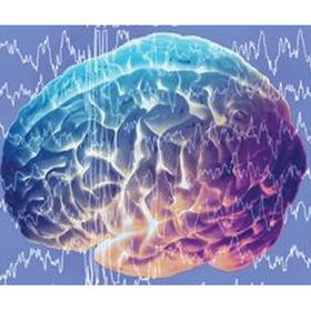 mozak_280x280_crop_478b24840a