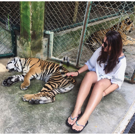 mlada_280x280_crop_478b24840a