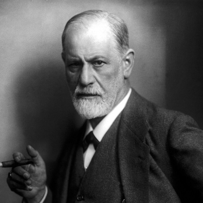 froid-uikipedia_700x700_crop_478b24840a