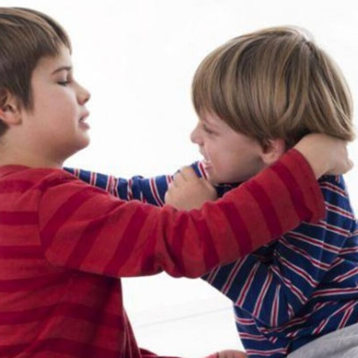 martin_700x700_crop_478b24840a