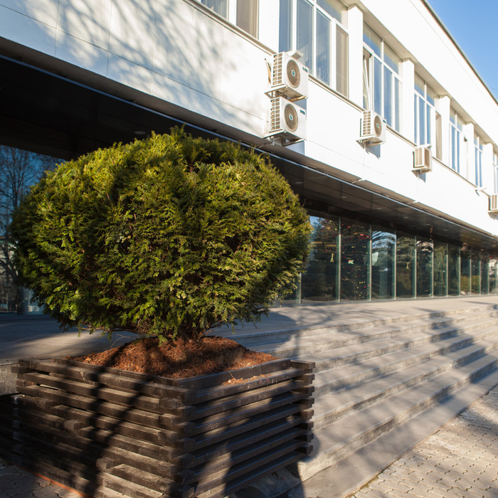 img-0010_700x700_crop_478b24840a