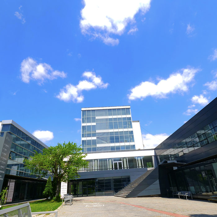 1799649-copy_700x700_crop_478b24840a