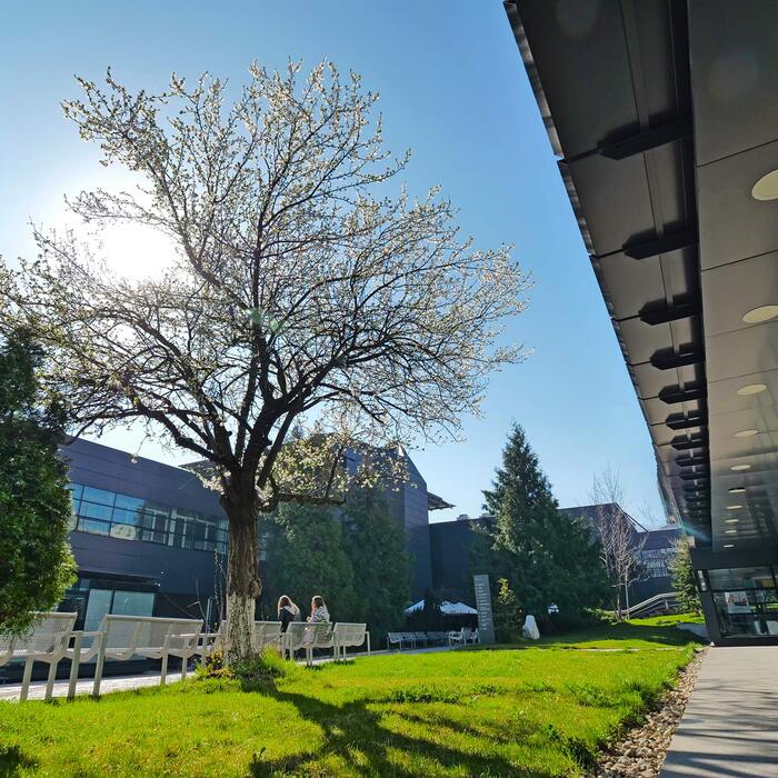 p1111314_700x700_crop_478b24840a